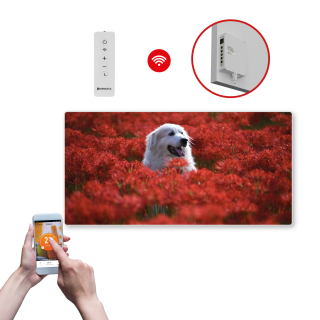 Infrapanel SWT 1000 - WiFi s potiskem vzor 35