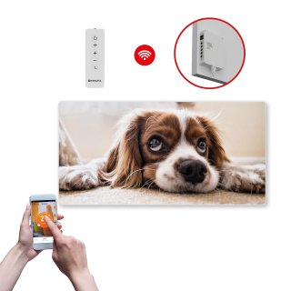 Infrapanel SWT 1000 - WiFi s potiskem vzor 36